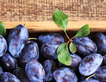 Fotolia_100366876_Subscription_XXL-cropped