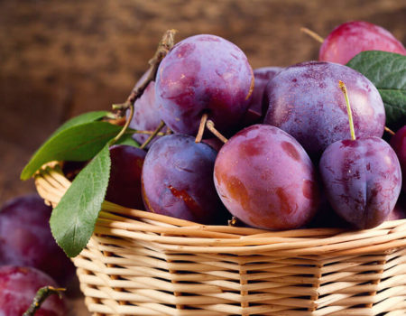 Fotolia_89815163_Subscription_XXL-1-cropped