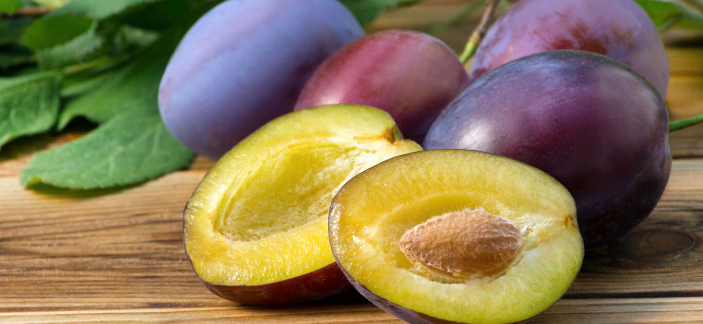 "Lorem ipsum dolor sit amet"